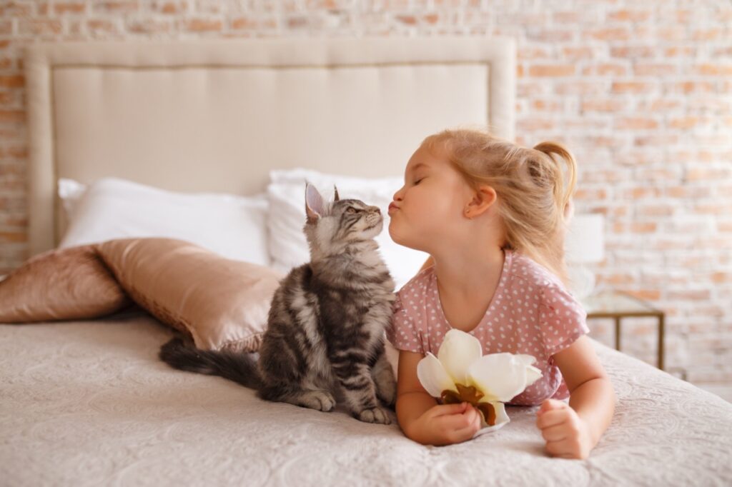 The Purrfect Kiss