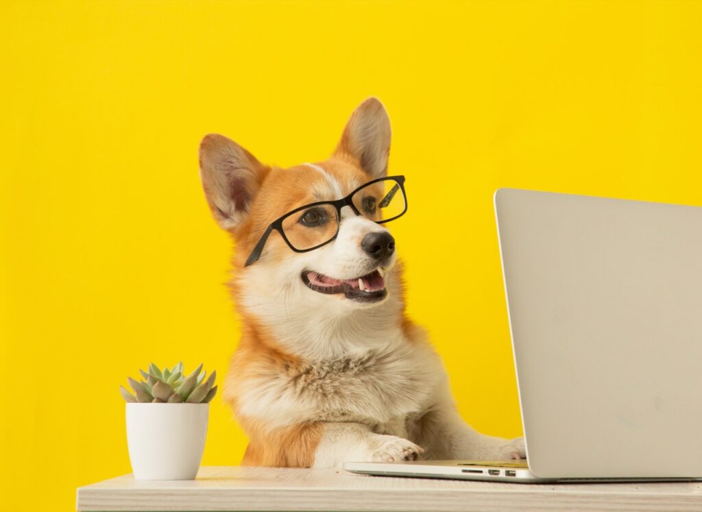 Tech-Savvy Pup at Work