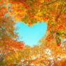 Autumn’s Perfect Heart