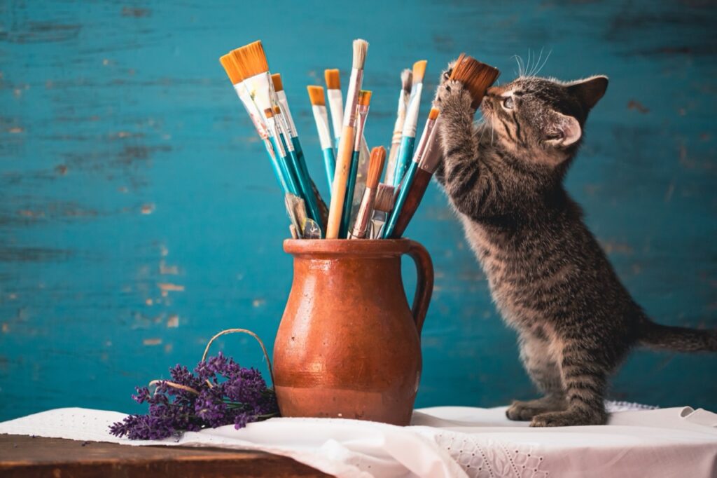 Curious Kitten in the Studio